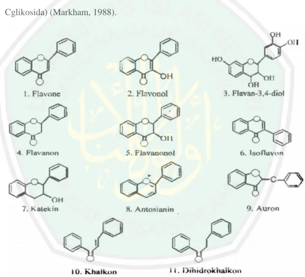 Gambar 2.8 Kelas Falvonoid berdasarkan oksidasi rantai C3 (Ikan dalam  Harborne, 1996) 