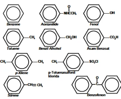 Gambar 2.1 Struktur dan nama benzena yang umum (Pudyoko 2010) 