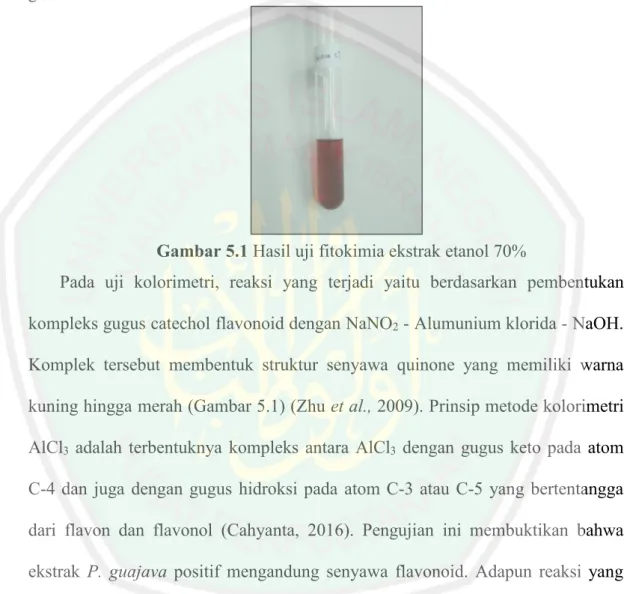 Gambar 5.1 Hasil uji fitokimia ekstrak etanol 70%