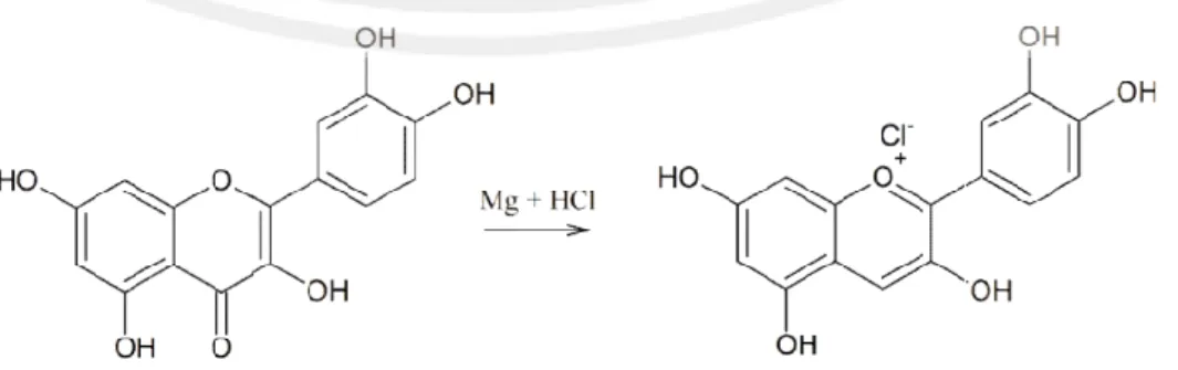 Gambar 5.3 Reaksi dugaan flavonoid dengan serbuk Mg (Marliana, 2005)Gambar 5.2 Hasil uji flavonoid ekstrak daun A