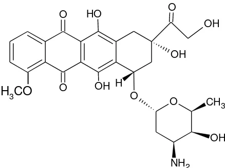 Gambar  2.13. Struktur Doxorubicin (Pindur et al., 1993) 