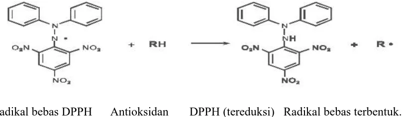 Gambar 2.3 .Reaksi Antara DPPH dengan Atom H yang Berasal dari   Antioksidan (Molyneux, 2004)