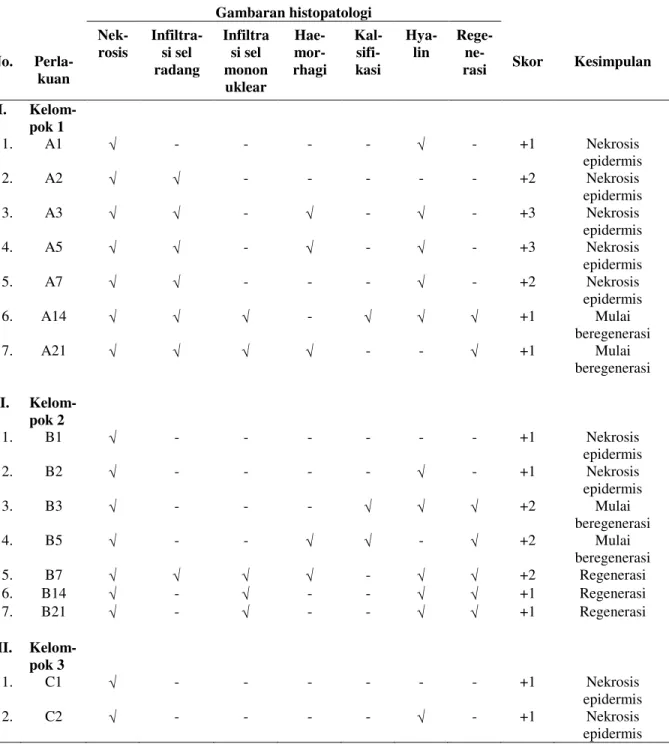 Tabel  3.  Hasil  uji  histopatologi  dan  skor  lesio  pada  kulit  kelinci  yang  telah  diobati  dengan  beberapa formula sediaan wound healing  