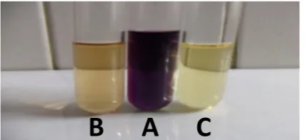 Gambar 2. Hasil uji pendahuluan fenolik [fraksi etil asetat ekstrak etanolik daun benalu]+Folin (A = kontrol negatif [blanko], B = larutan uji Ciocalteu dan Na2CO3, C =kontrol positif [asam galat])
