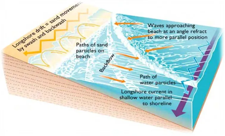 Gambar 1.1 Penjalaran gelombang dan arus di pantai  (Science Community Locus, 2010) 