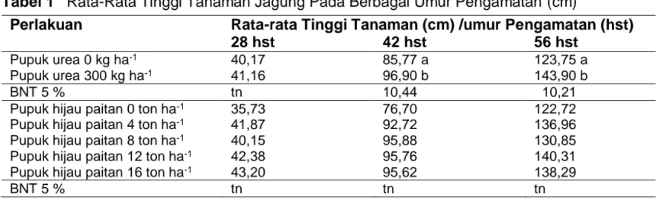 Tabel 1  Rata-Rata Tinggi Tanaman Jagung Pada Berbagai Umur Pengamatan (cm) 