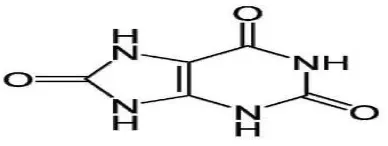 Gambar 2.1 Struktur asam urat 