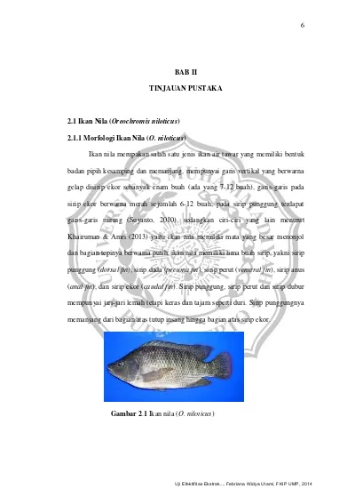 BAB II TINJAUAN PUSTAKA 2.1 Ikan Nila (Oreochromis Niloticus) 2.1.1 ...