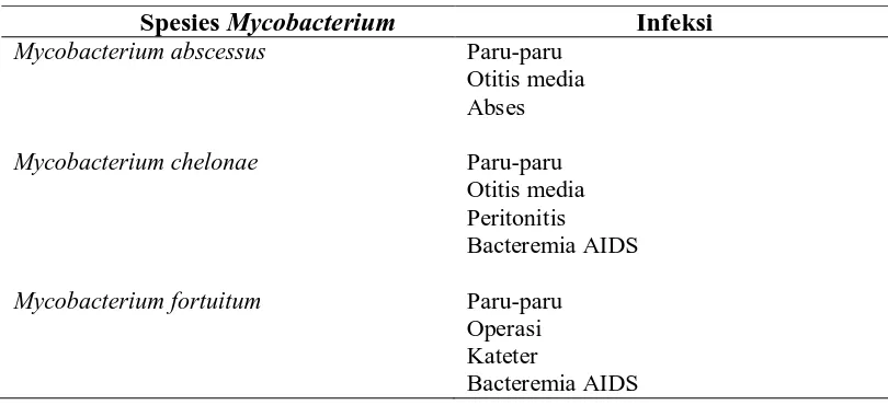 Tabel 2.2.2 Jenis-jenis Mycobacterium atipikal yang memiliki pertumbuhan cepat    ( Rapid Grows )  