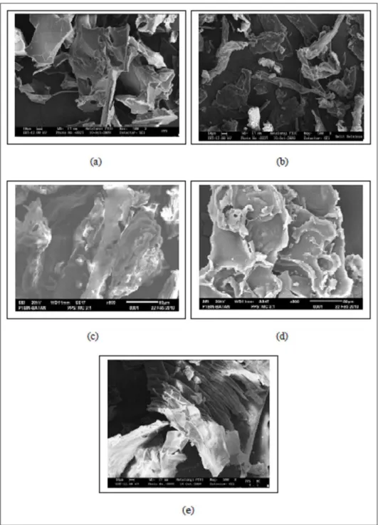 Gambar 1. Mikrofotograf eksipien dengan perbesaran 500X, (a) PPS, (b) MC, (c) Koproses PPS-MC 2:1, (d) Koproses PPS-MC 3:1, (e) Koproses PPS-MC 4:1