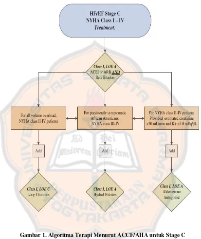 Gambar 1. Algoritma Terapi Menurut ACCF/AHA untuk Stage C(ACCF/AHA, 2013)