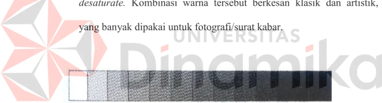 Gambar 2.1 Contoh Warna Akromatik
