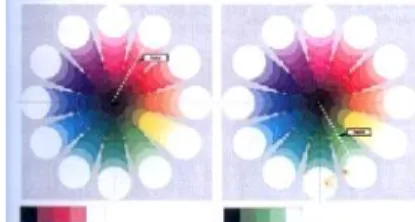 Gambar 2.2 Contoh Warna Monokrom