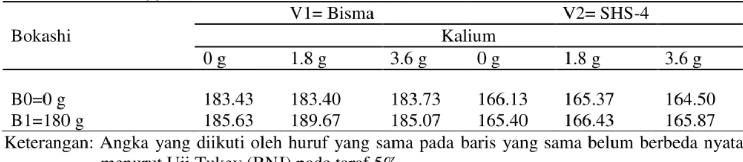 Tabel 1. Rataan tinggi tanaman 8 MST (cm) dari interaksi antara varietas, bokashi dan kalium