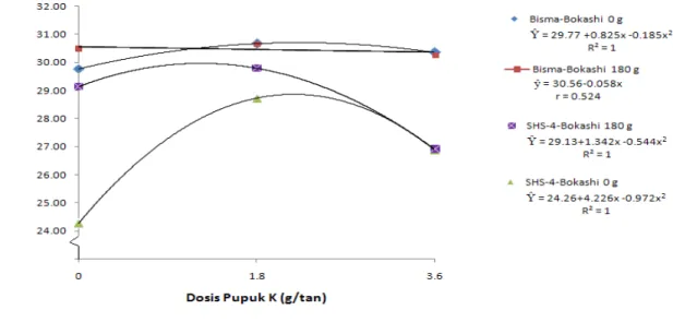 Gambar 1. Grafik hubungan antara varietas dan pupuk K terhadap berat 100 biji. 
