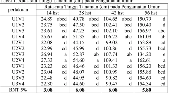 Tabel 1. Rata-rata Tinggi Tanaman (cm) pada Pengamatan umur 