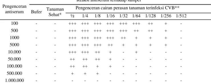 Tabel 1.  Reaksi antiserum terhadap cairan perasan tanaman terinfeksi CVB pada berbagai seri pengenceran  melalui metode I-ELISA 