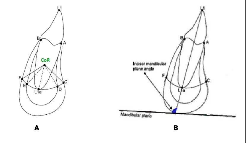 Gambar 2.12. A.Titik-titik landmark,  pengukuran  linear  simfisis mandibula dan insisivus mandibula; B