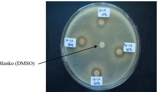 Gambar 1. Hasil Uji Antibakteri Ekstrak Umbi Lokio dengan Pelarut Air terhadap Bakteri Escherichia coli 