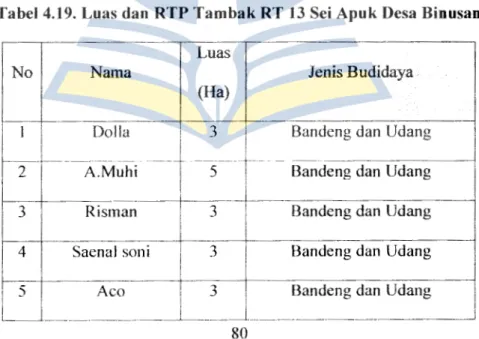 Tabel 4.I9. Luas dan RTP Tambak RT 13  Sei Apuk Desa Binusan  Luas 