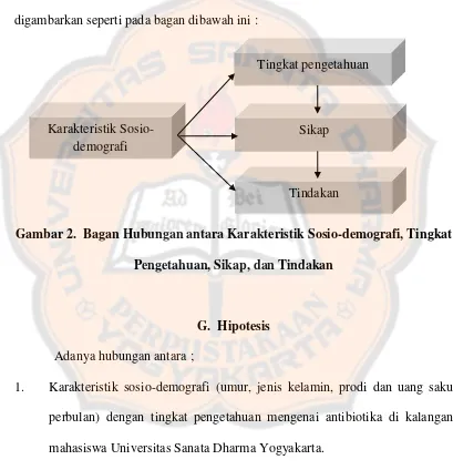 Gambar 2.  Bagan Hubungan antara Karakteristik Sosio-demografi, Tingkat 