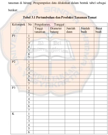 Tabel 3.1 Pertumbuhan dan Produksi Tanaman Tomat 