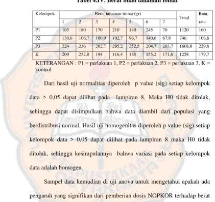 Tabel 4.IV. Berat buah tanaman tomat 