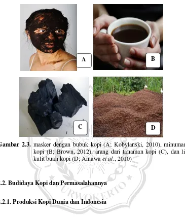 Gambar 2.3. masker dengan bubuk kopi (A; Kobylanski, 2010), minuman dari 