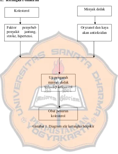 Gambar 1. Diagram alir kerangka berpikir 