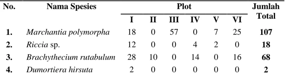 Tabel  1.  Hasil  Inventarisasi  Tumbuhan  Lumut  (Bryophyta)  di  jalan  setapak menuju makam di Giribangun