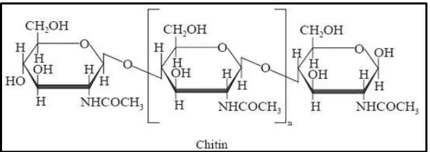 Gambar 6. Struktur Senyawa Kitin 