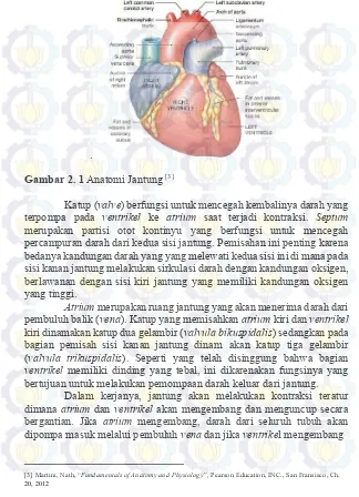Gambar 2. 1 Anatomi Jantung [3]  