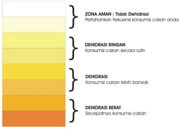 Gambar 1. Derajat warna urine ((https://labcito.co.id) 