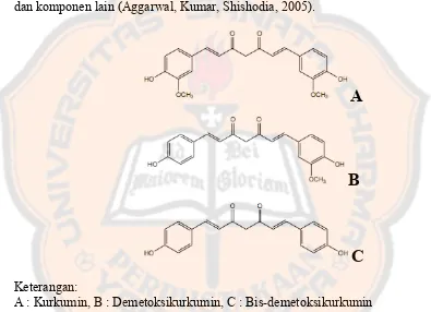 Gambar 4. Struktur dari kurkuminoid (Aggarwal, Kumar, Shishodia, 2005) ������������������������������������������������������������