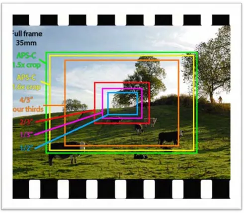 Gambar 2.20. Perbandingan sensor kamera crop dan kamera full frame