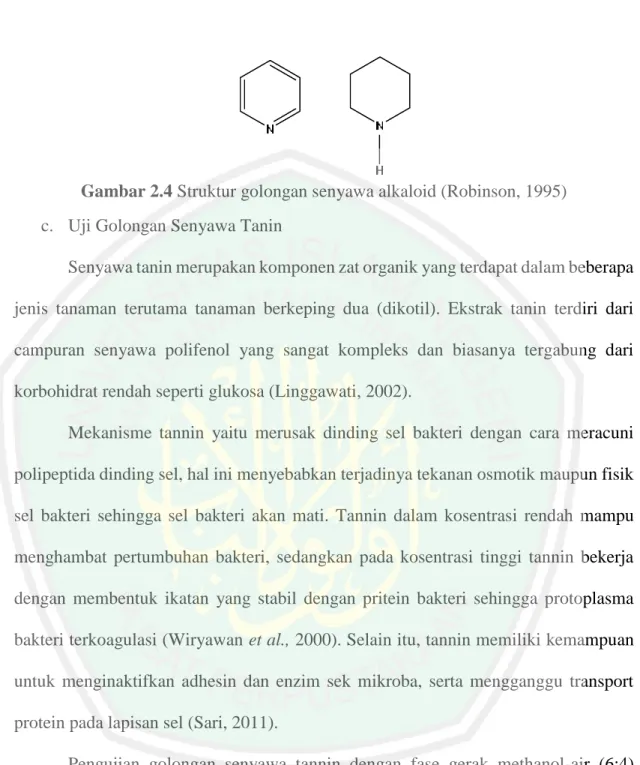 Gambar 2.4 Struktur golongan senyawa alkaloid (Robinson, 1995)  c.  Uji Golongan Senyawa Tanin 