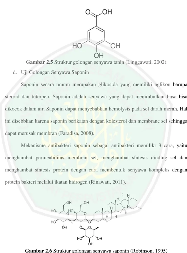 Gambar 2.5 Struktur golongan senyawa tanin (Linggawati, 2002)  d.  Uji Golongan Senyawa Saponin  