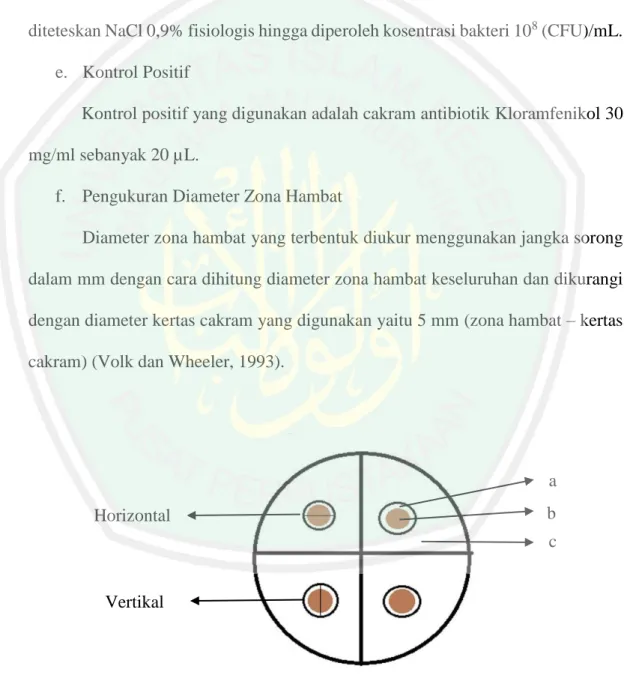 Gambar 4.1 Pengukuran diameter zona hambat menggunakan kertas cakram ; (a)  zona bening, (b) kertas cakram (paper disk), (c) biakan bakteri 