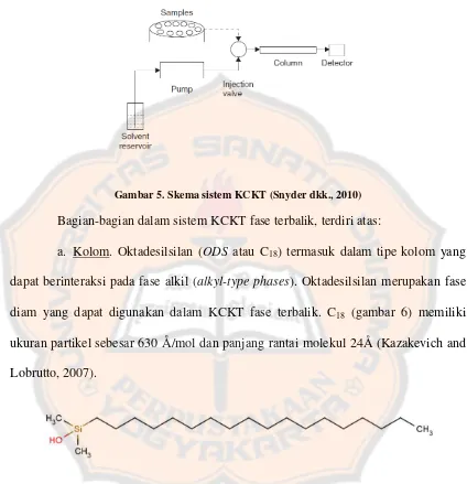 Gambar 5. Skema sistem KCKT (Snyder dkk., 2010) 
