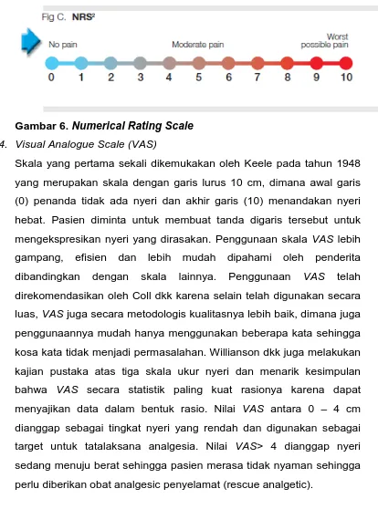 Gambar 6. Numerical Rating Scale 