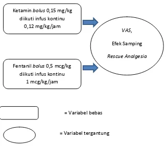 Gambar 11. Kerangka Konsep 