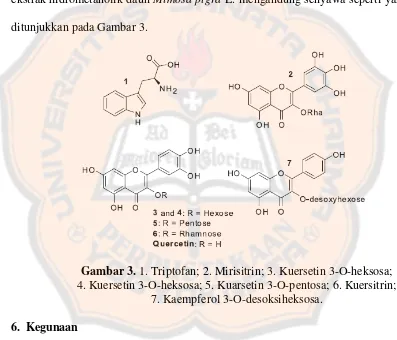 Gambar 3. 1. Triptofan; 2. Mirisitrin; 3. Kuersetin 3-O-heksosa;         