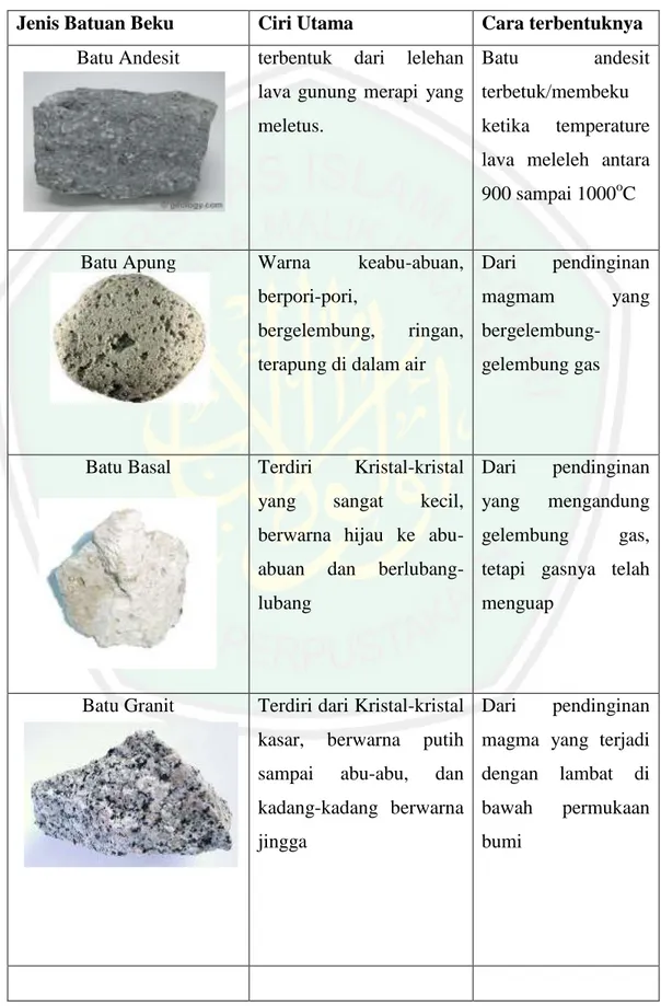 Tabel 2.1. Beberapa Contoh Batuan Beku 