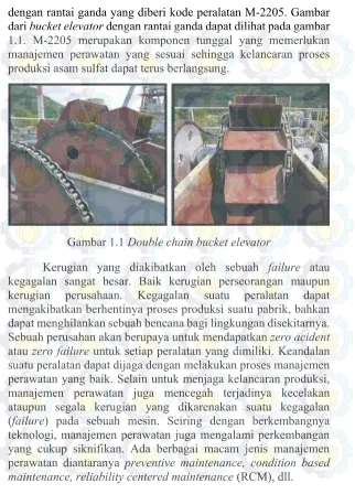 Gambar 1.1 Double chain bucket elevator 