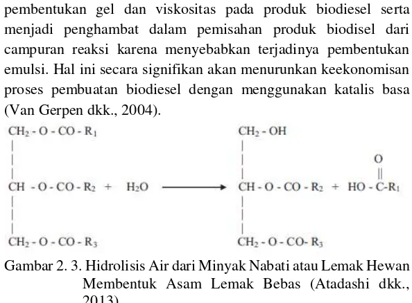 Gambar 2. 3. Hidrolisis Air dari Minyak Nabati atau Lemak Hewan 