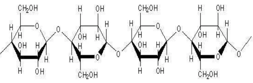 Gambar 2.1 Struktur kimia selulosa 