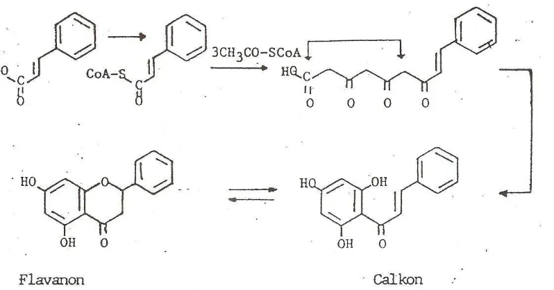 Gambar 2.7. Reaksi biosintesis flavonoid (Dixon et al., 2002)  