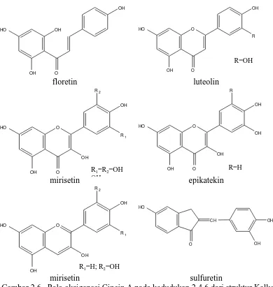 Gambar 2.6.  Pola oksigenasi Cincin A pada kedudukan 2,4,6 dari struktur Kalkon mirisetin OH 
