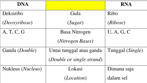 Tabel 6.1. Perbedaan DNA dan RNA 