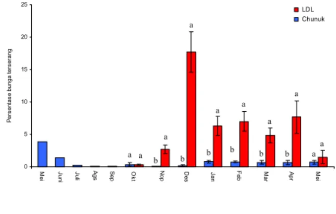 Gambar 5.   Hubungan kerapatan populasi kepik, Diconocoris hewetti  dengan persentase bulir bunga  terserang pada varietas Chunuk,  Bangka 2004 